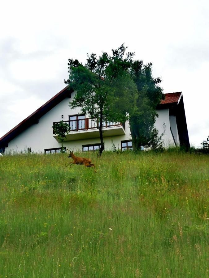 Agropensiunea Floare De Tei Carpinis  Exterior foto